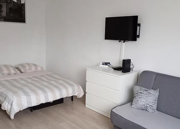 Kolo Zamku 아파트 *